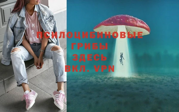 дживик Зеленокумск