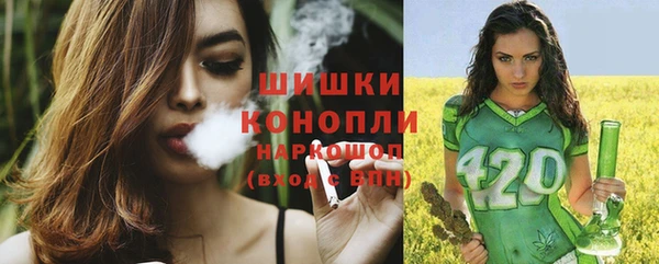дживик Зеленокумск
