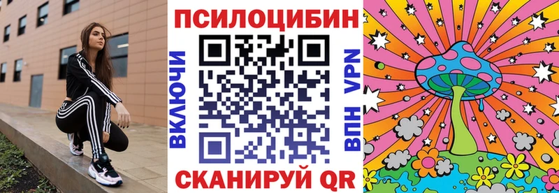 Псилоцибиновые грибы мухоморы  как найти   darknet какой сайт  Сосновка 